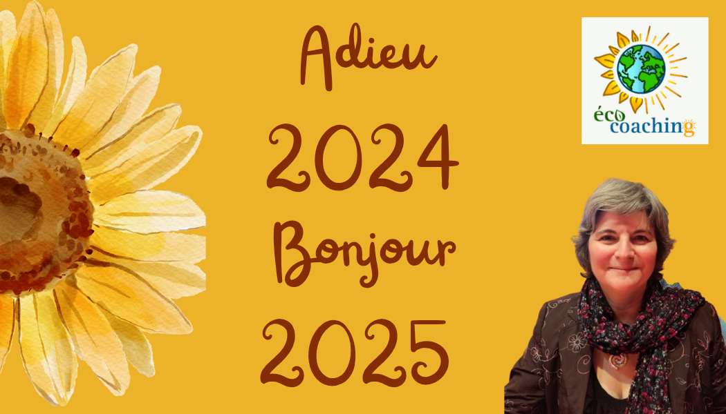 Adieu 2024, bonjour 2025 ✨