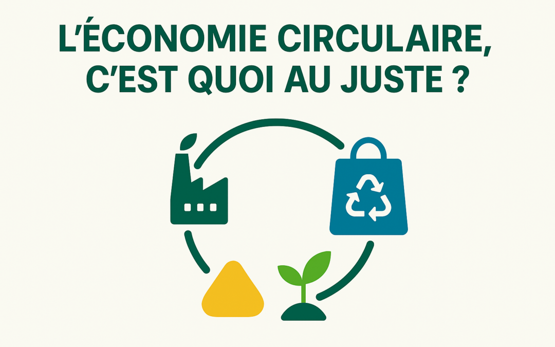 ♻️ L’économie circulaire : définition simple et conseils pour PME