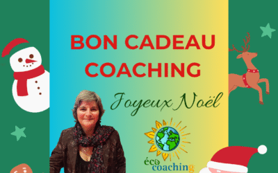 🎄 À offrir ou s’offrir pour Noël : des bons cadeaux en coaching personnel