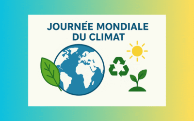 🌍 8 décembre : Journée mondiale du climat : et si on choisissait d’honorer la planète… vraiment ?