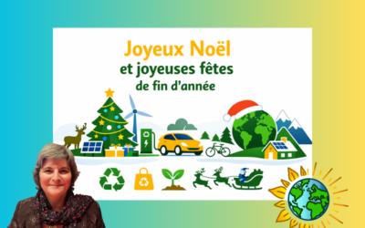 🎄 Joyeux Noël et douces fêtes de fin d’année 🌟