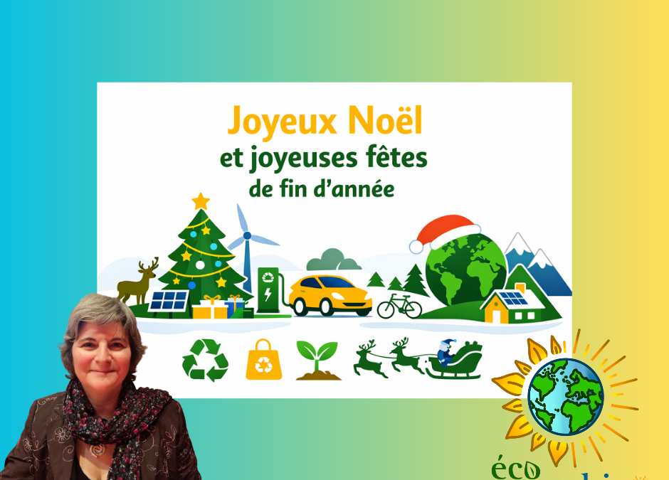 🎄 Joyeux Noël et douces fêtes de fin d’année 🌟